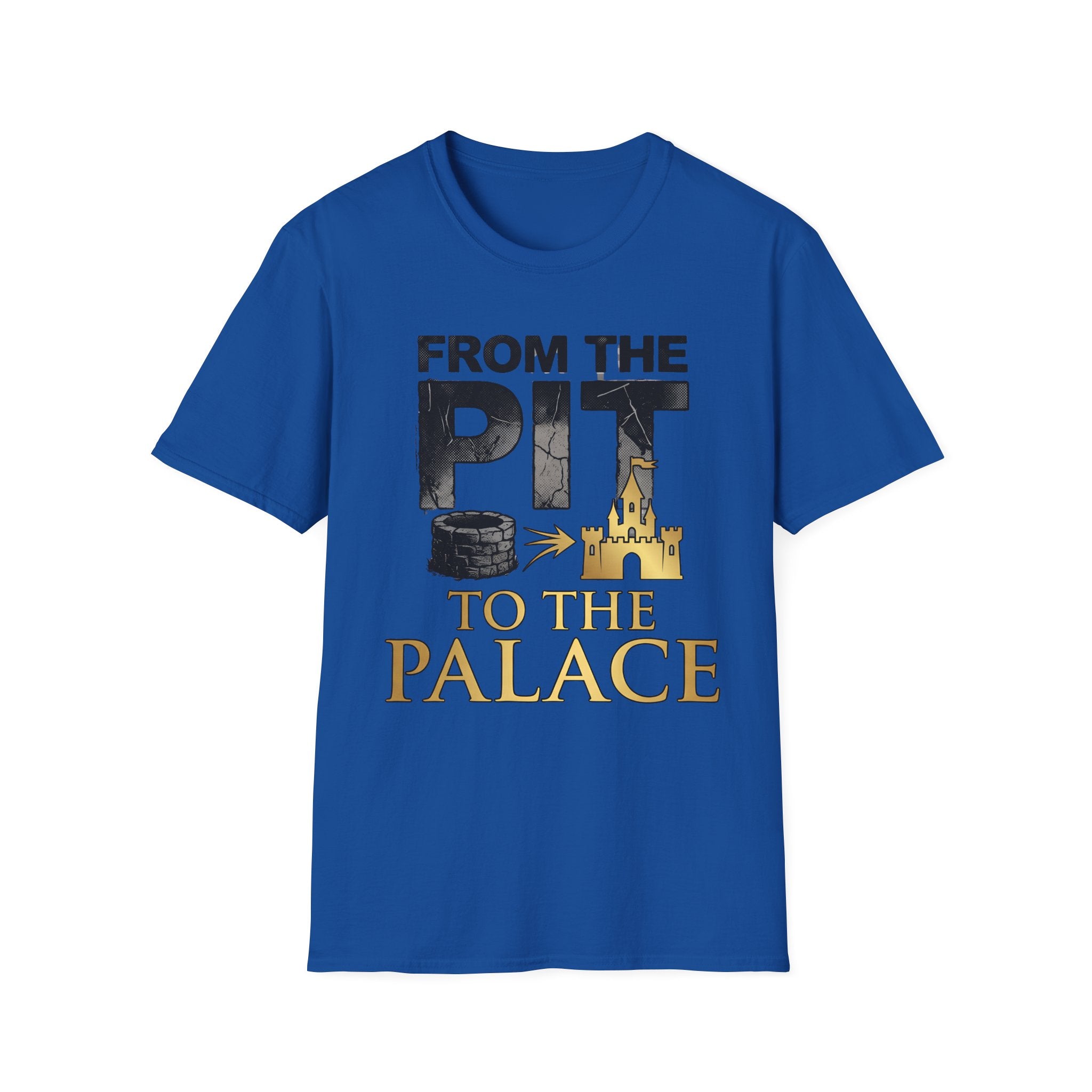 Pit to the Palace light T-Shirt