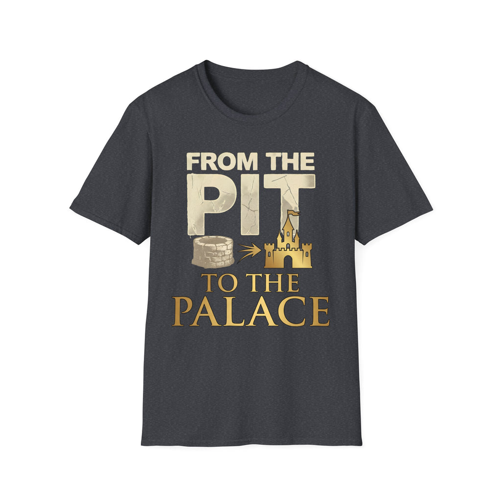 Pit to the Palace Darker T-Shirt