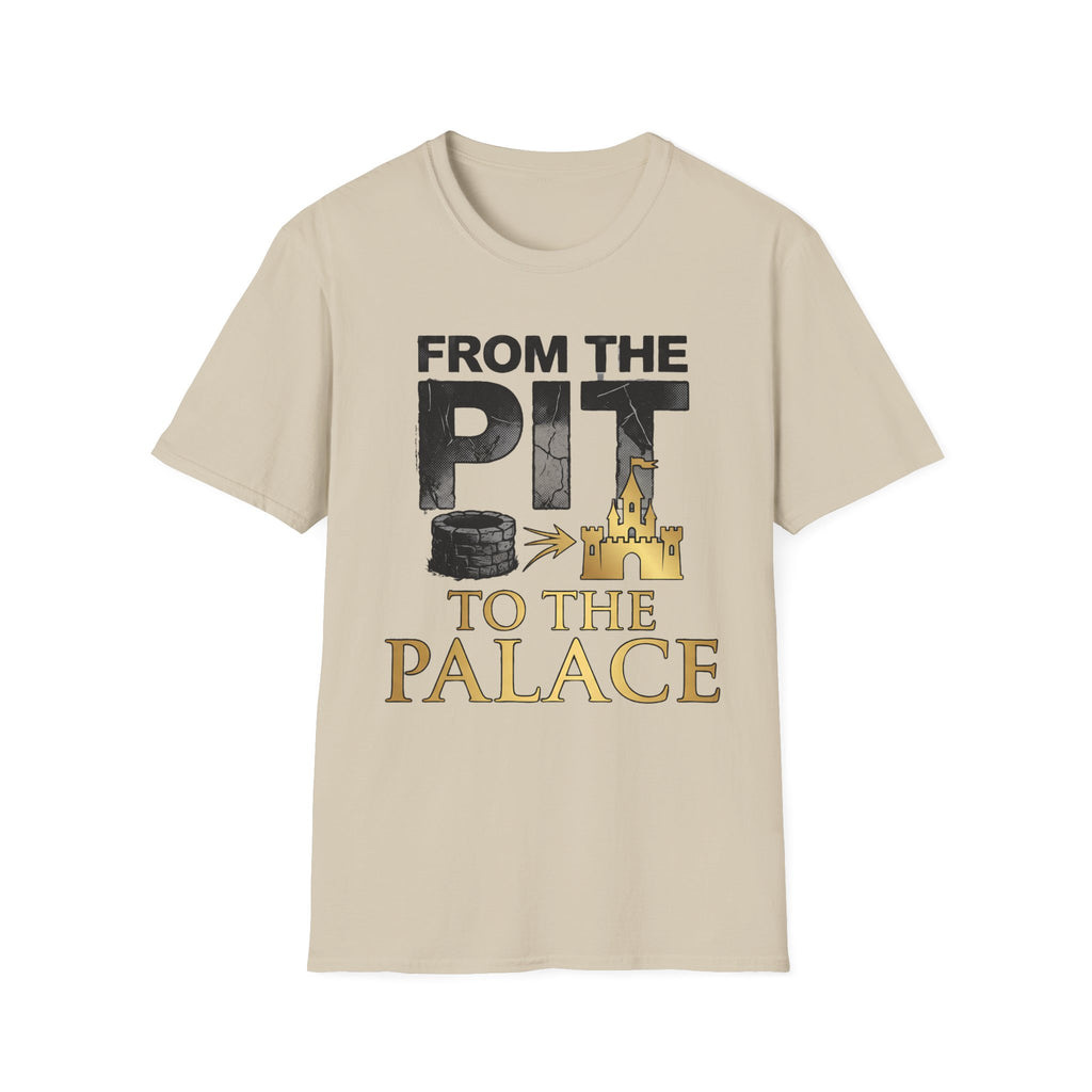 Pit to the Palace light T-Shirt