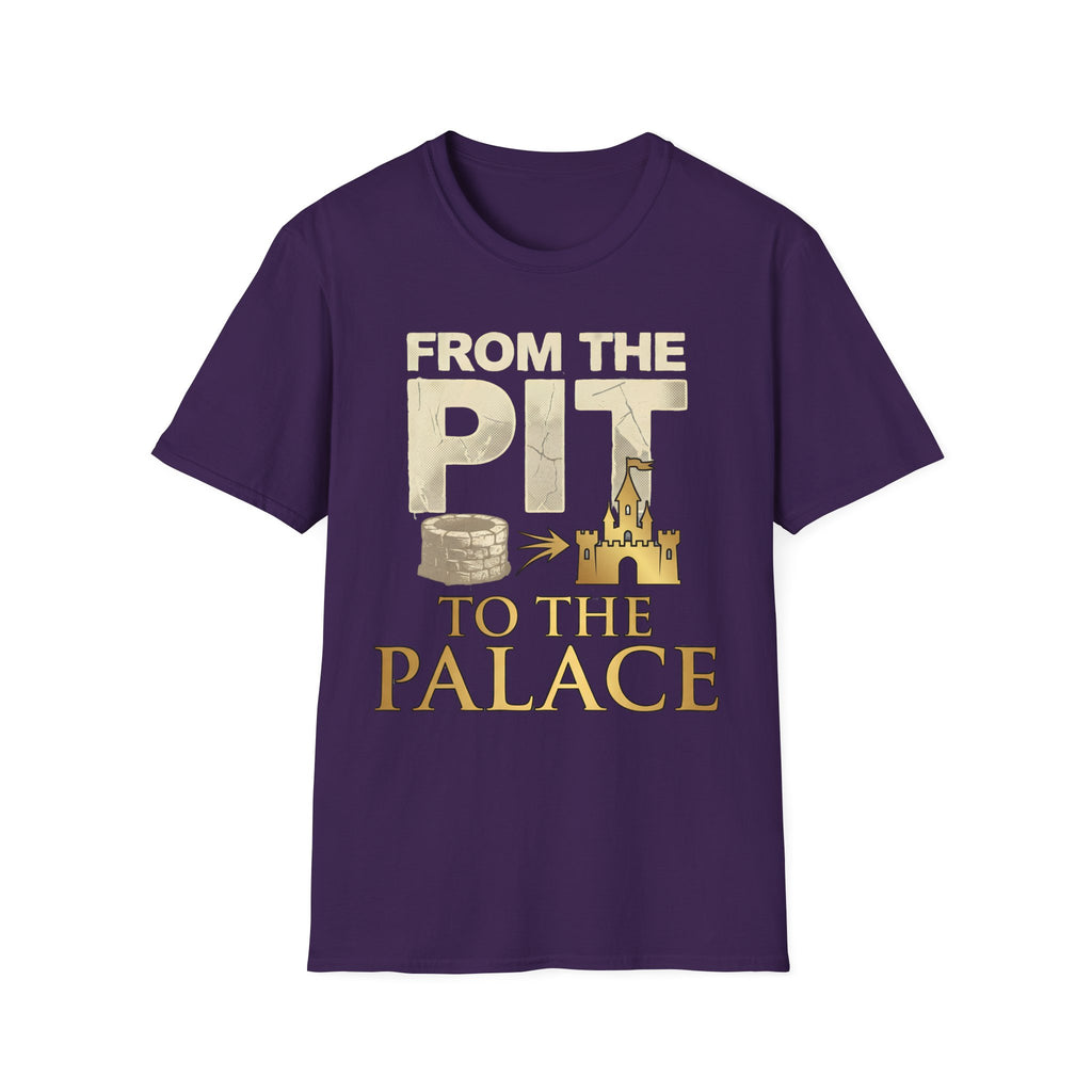 Pit to the Palace Darker T-Shirt